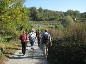Cammini a Viverone