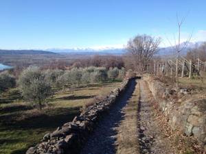 Anello V - Lago di Viverone